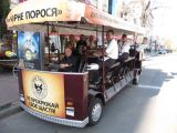 Входная группа для "Чорное порося"