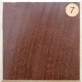 клен "красное дерево 7"